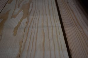 L- MG Doug Fir C
