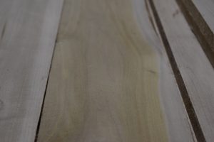 L- Poplar C