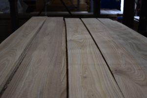 L- Red Elm A
