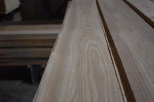 L- Red Elm B