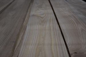 L- Red Elm C