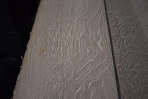 L- White Oak qtr sawn B