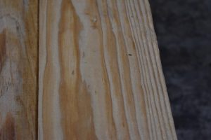 L- Yellow Pine B