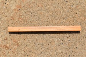 T- 1-1-16 Backband A