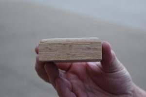 T- Rosette B